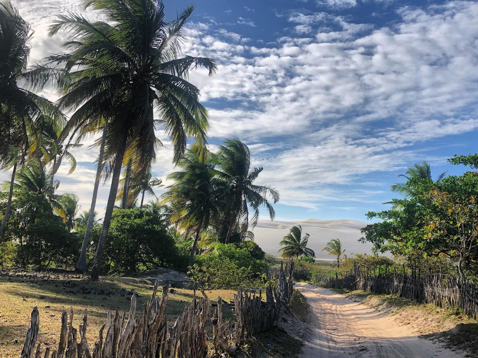 Sandee Tatajuba Beach