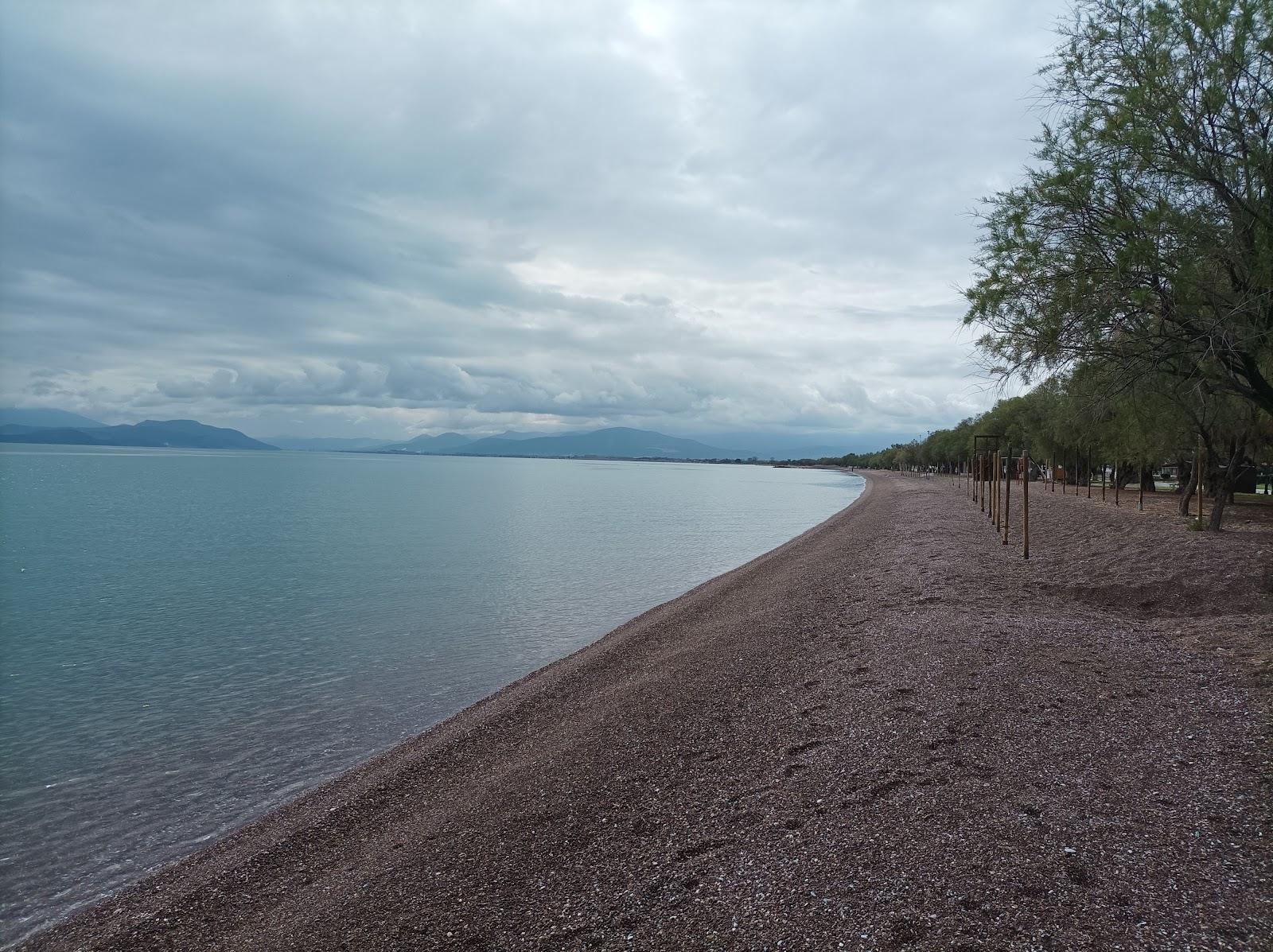 Sandee Nea Achialos Beach