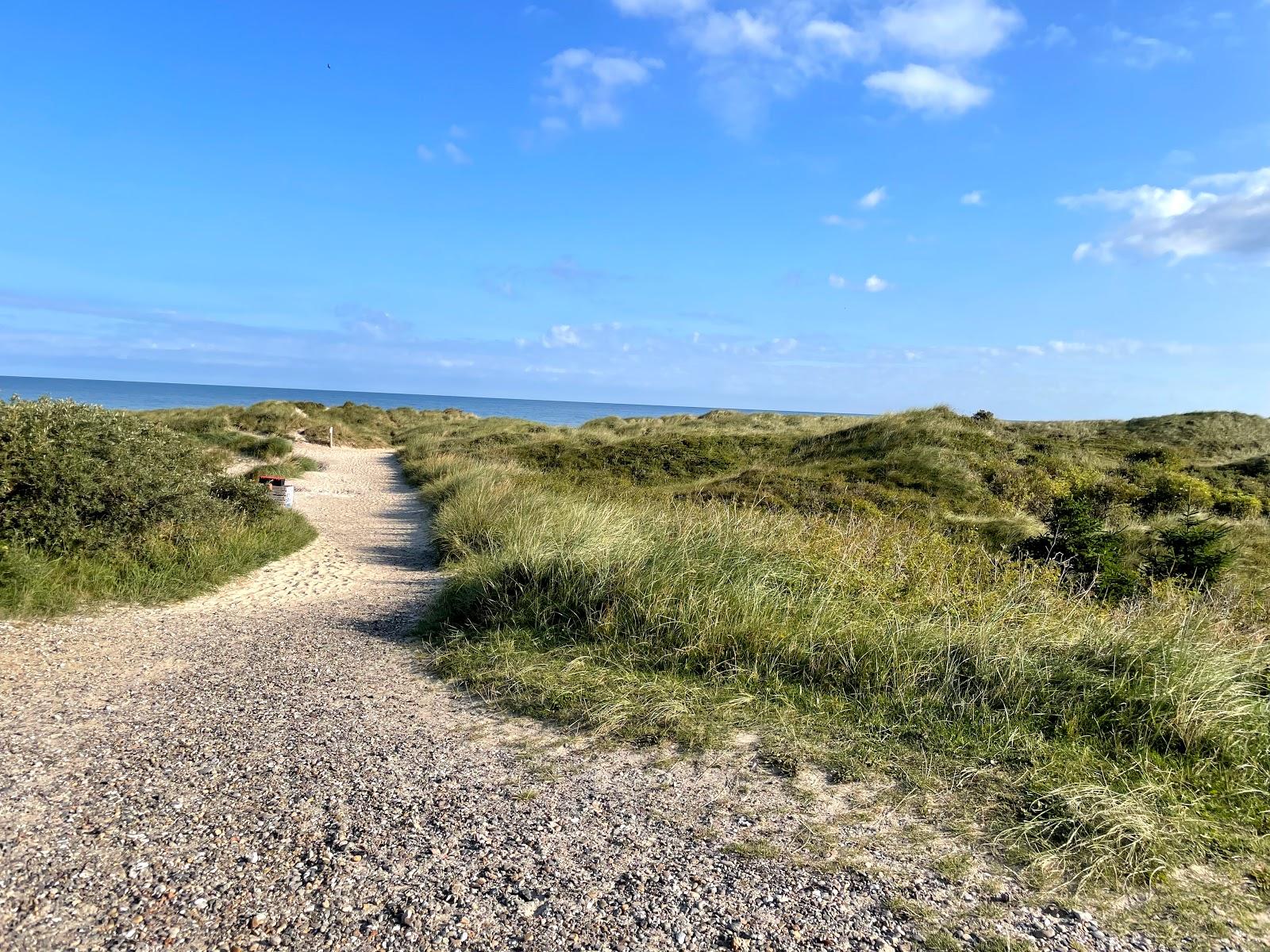 Sandee Svinkløv Strand