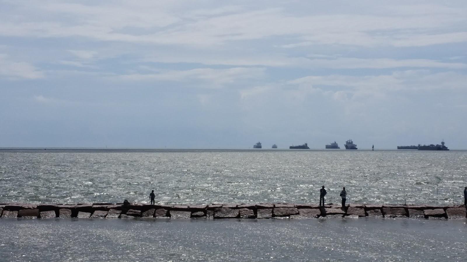Sandee Pelican Island