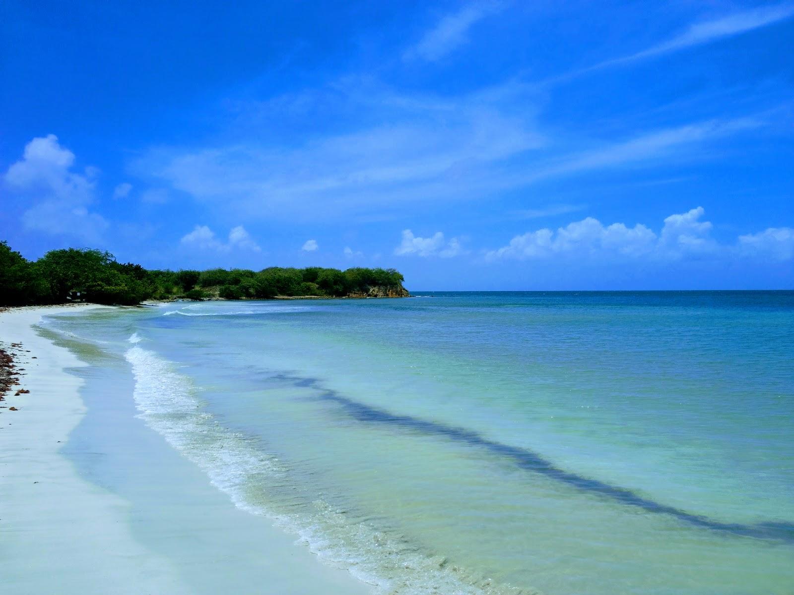 Sandee Halfpenny Beach