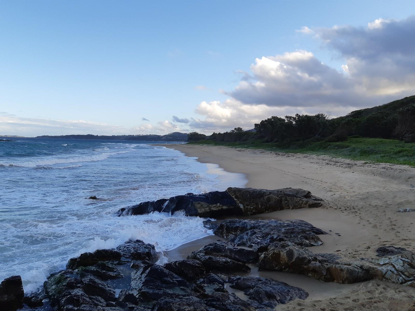 Sandee Campbells Beach