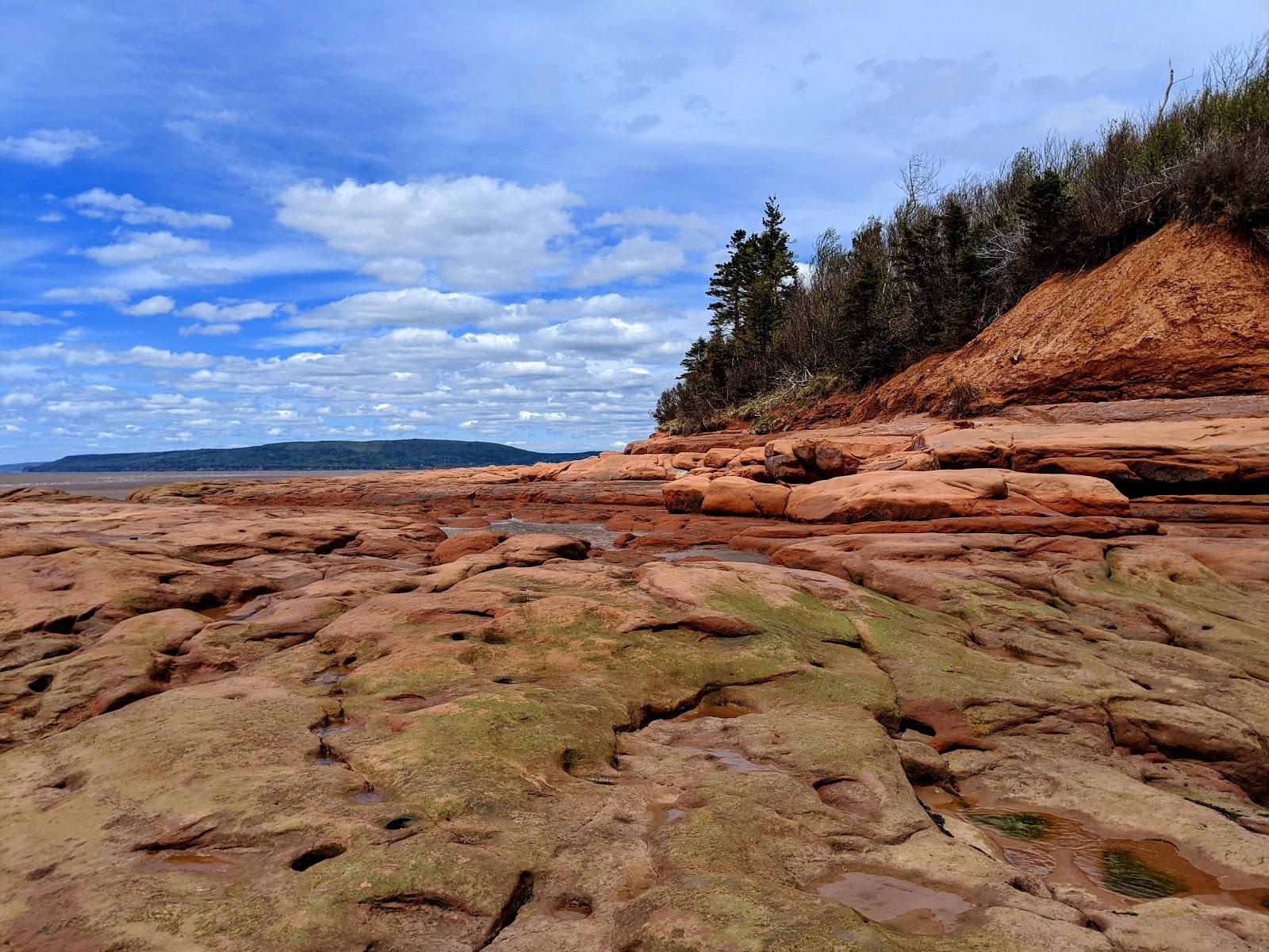 Sandee Thomas Cove Coastal Reserve