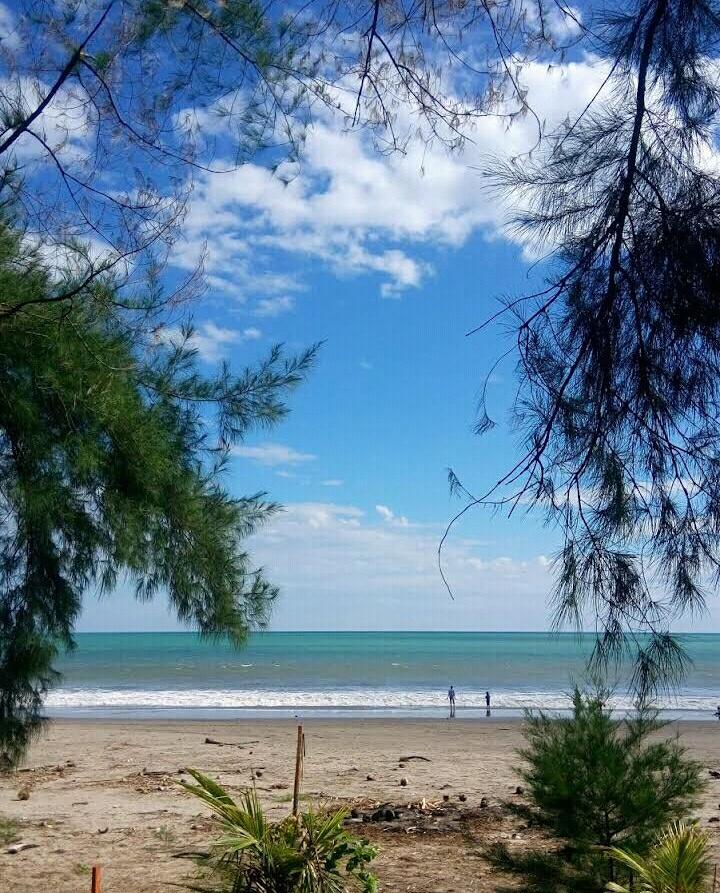 Sandee Pantai Belibis