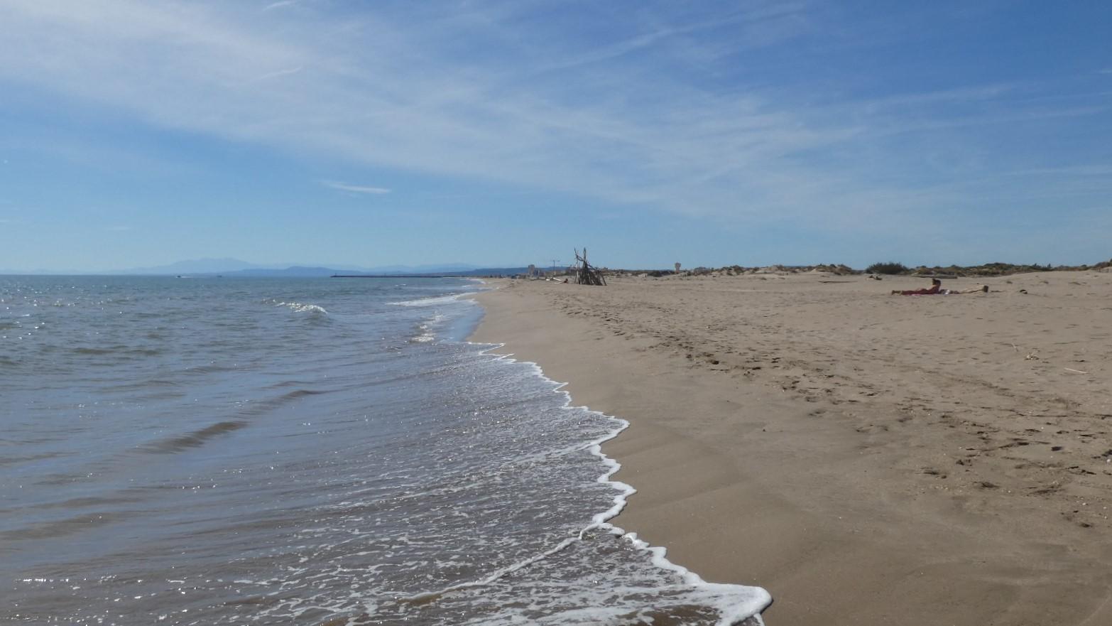 Sandee Plage Des Orpelliere