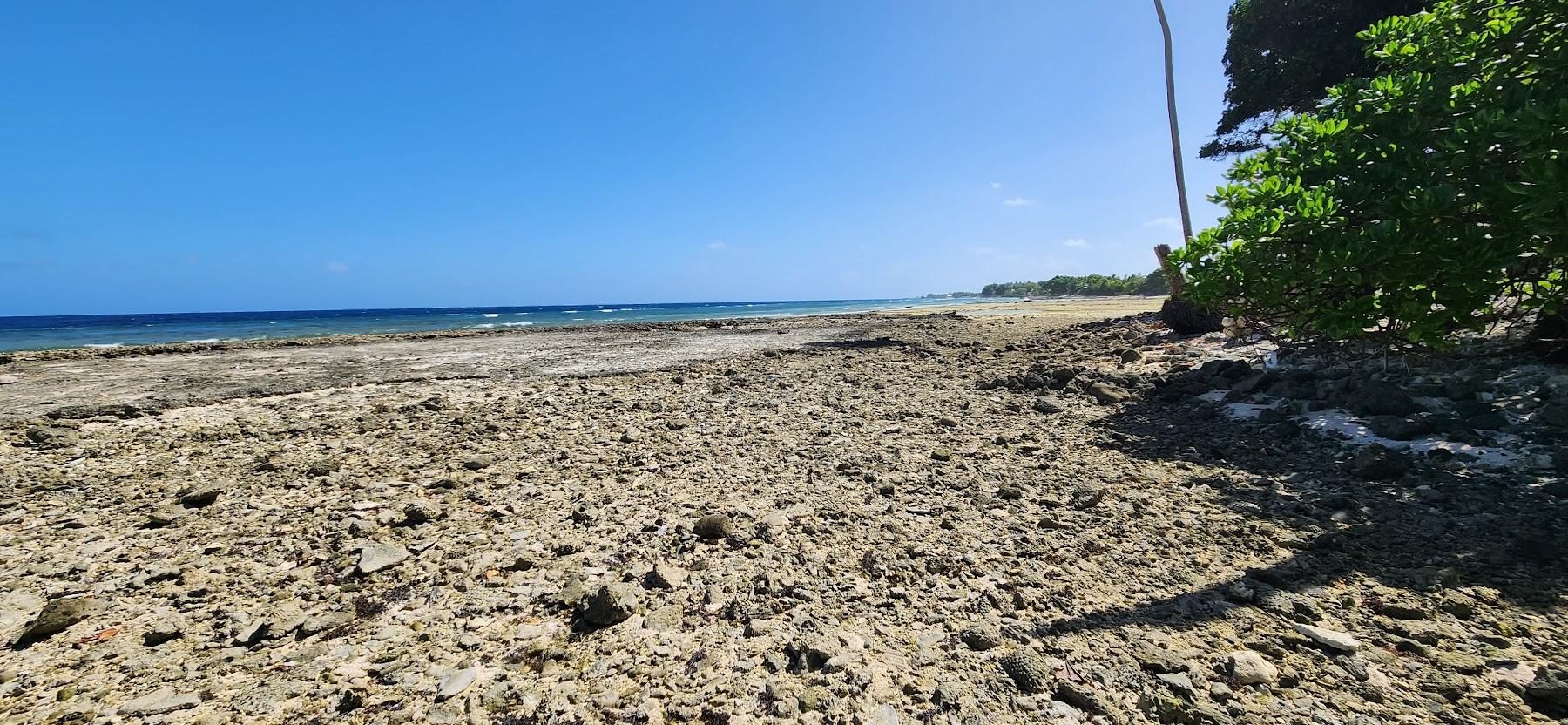 Sandee Majuro Peace Park