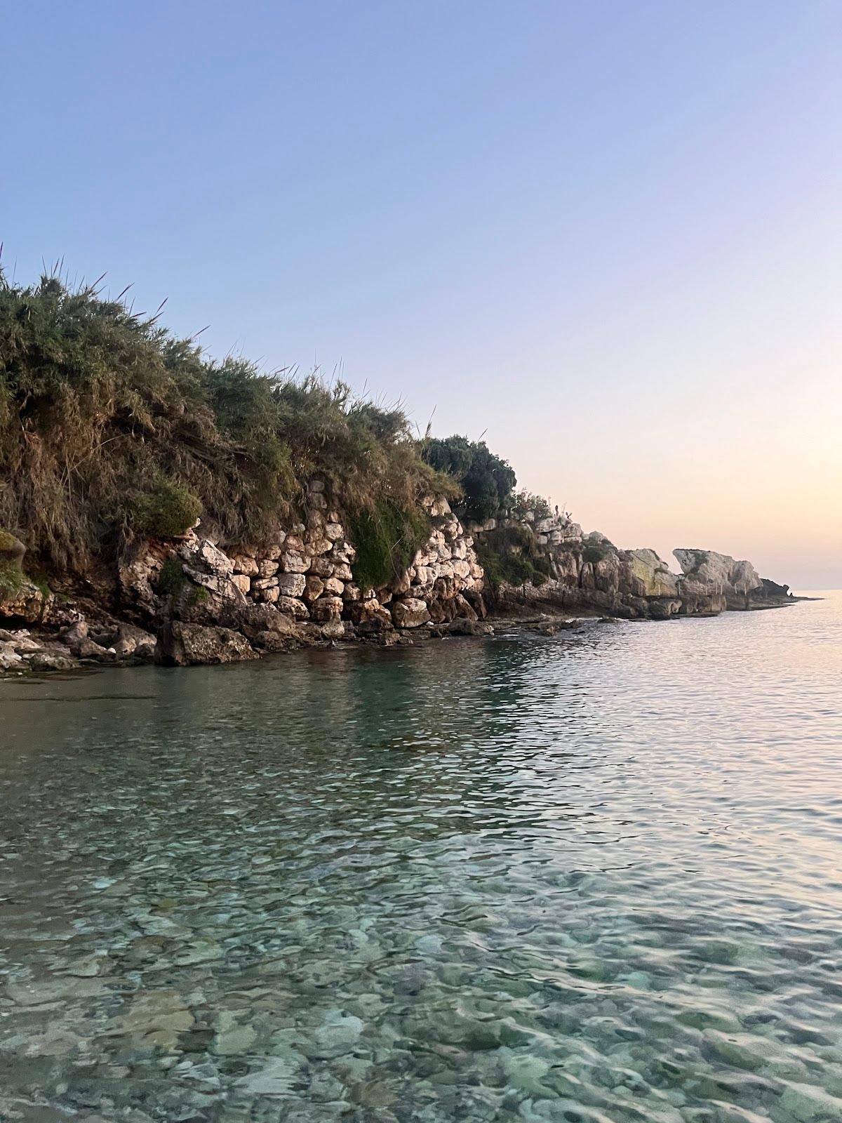 Sandee Abou Ali Beach