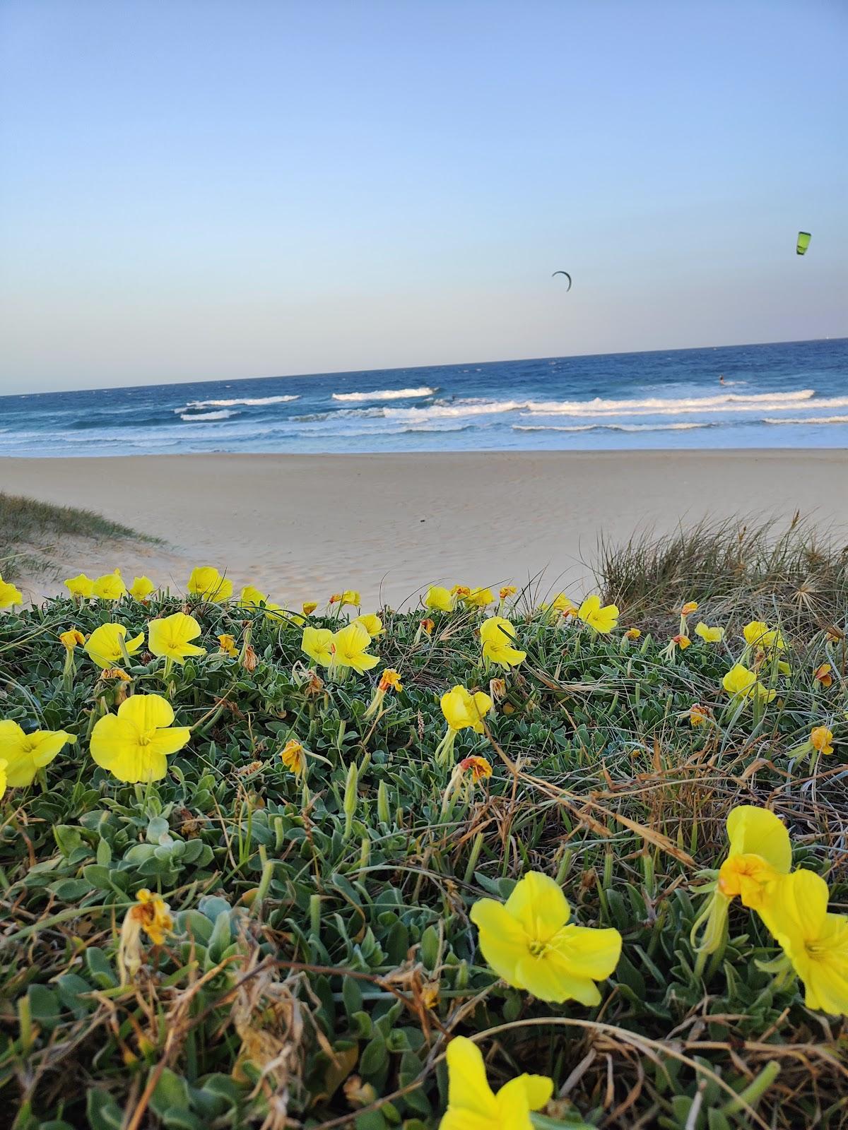 Sandee Alan Walker Park