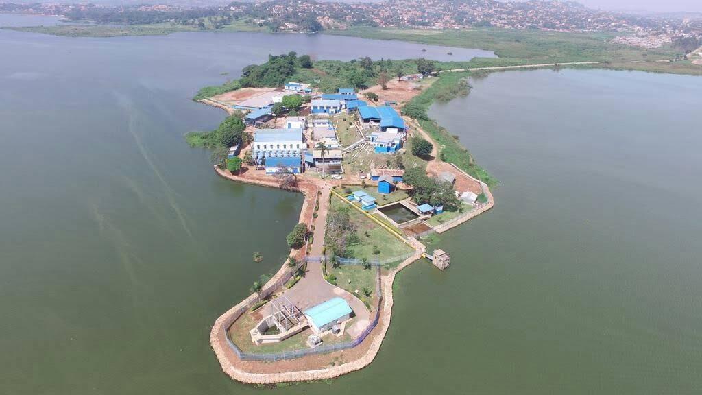 Sandee Ggaba Beach