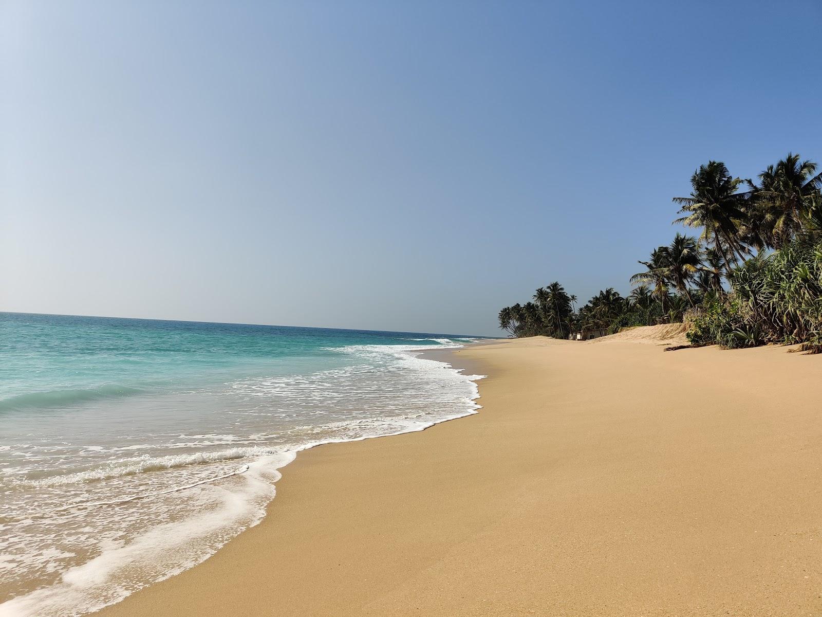 Sandee Crytal Beach