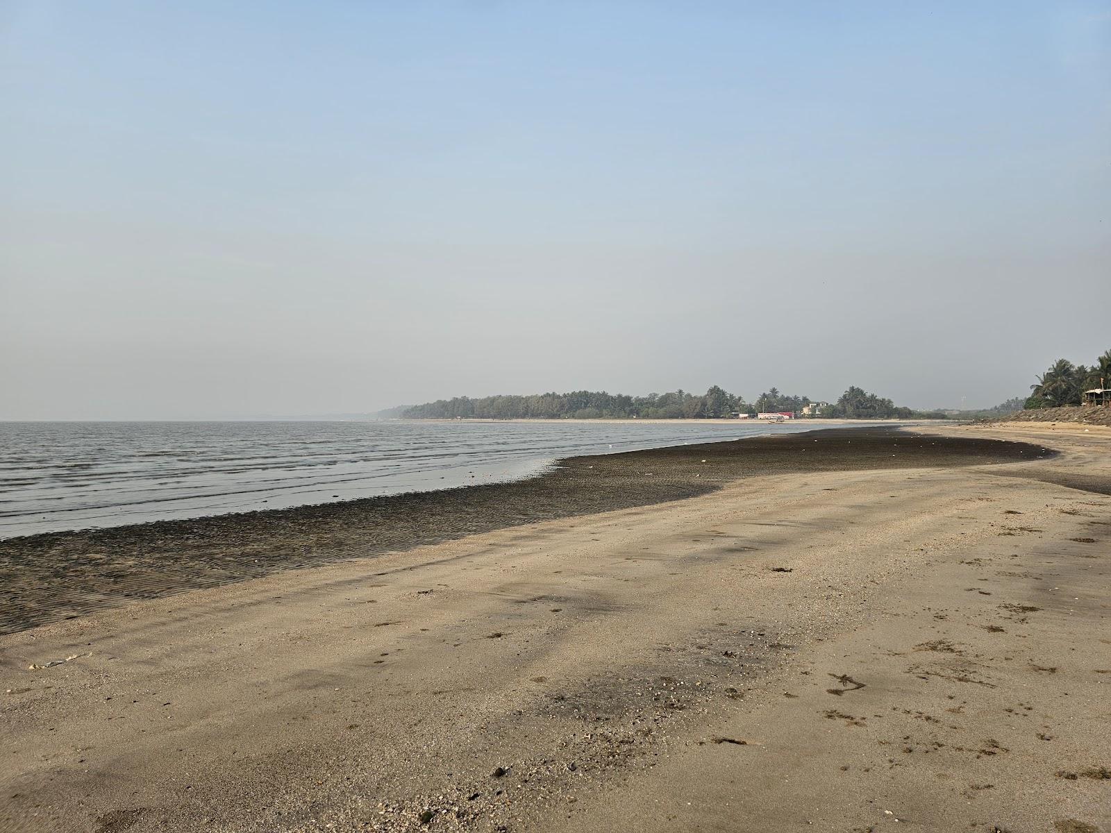 Sandee Tarapur Beach
