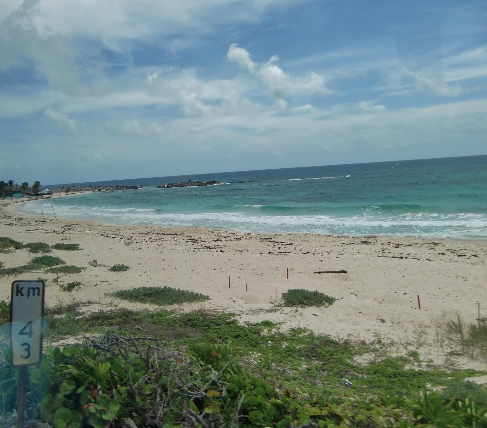 Sandee Bahia La Guera