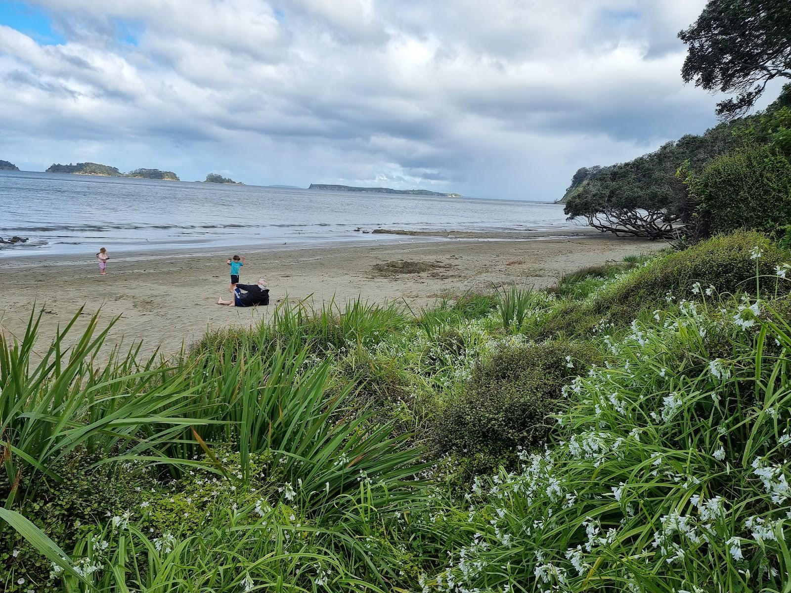Sandee Martin's Bay
