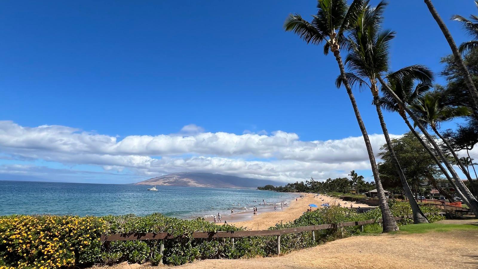 Sandee Kamaole Beach Park I