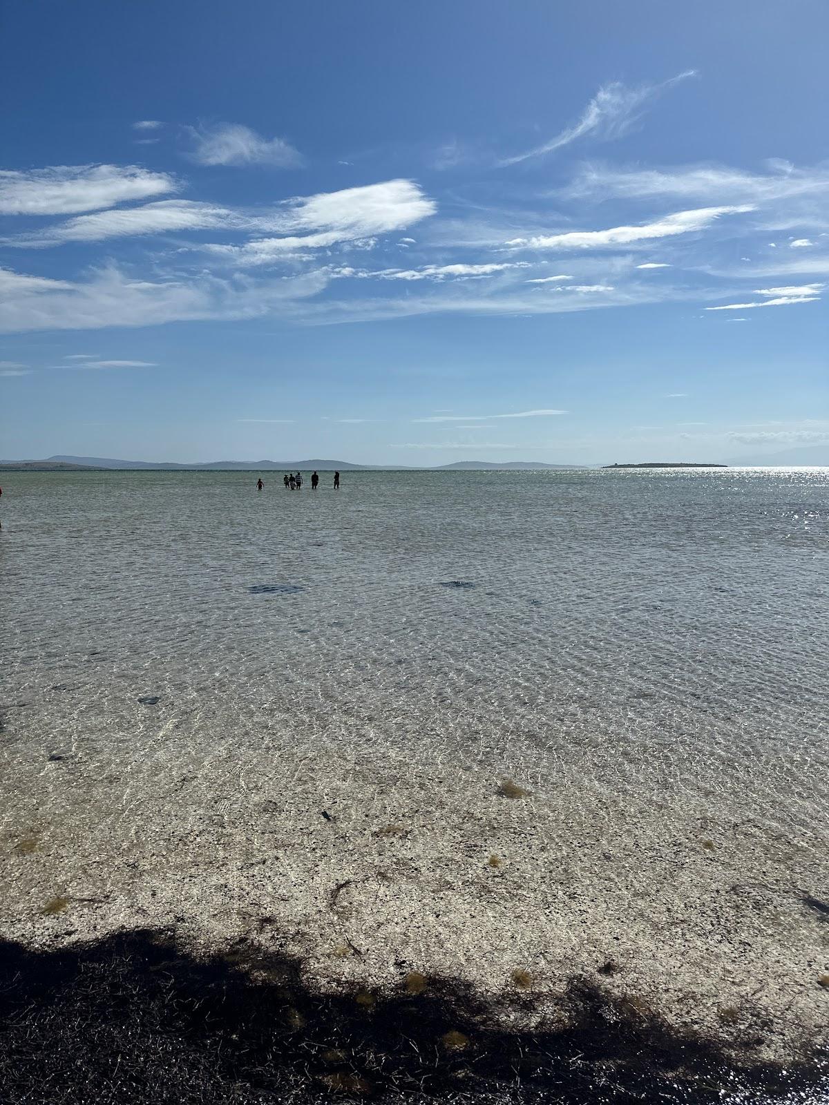 Sandee Carlisle Beach