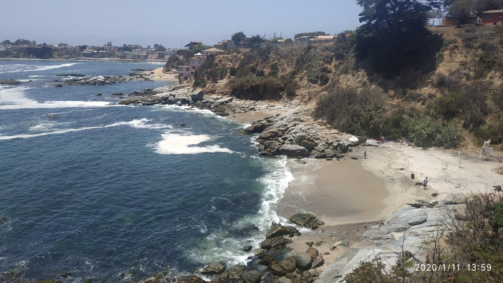 Sandee Las Canitas Beach