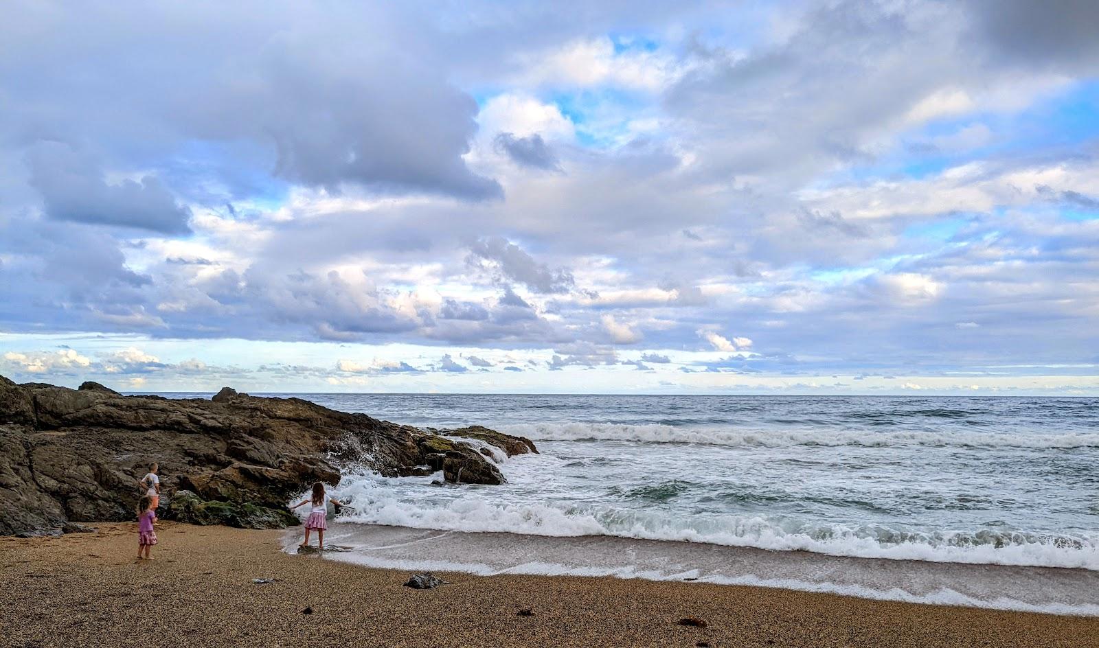 Sandee Opal Cove Beach