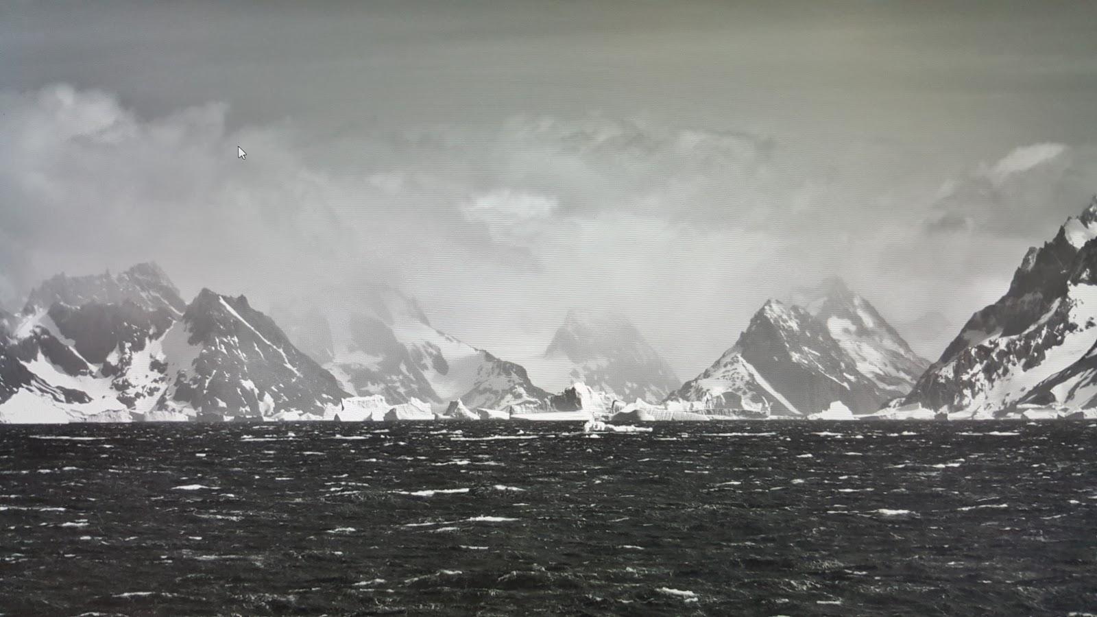 Sandee - HomePage / South Georgia Island