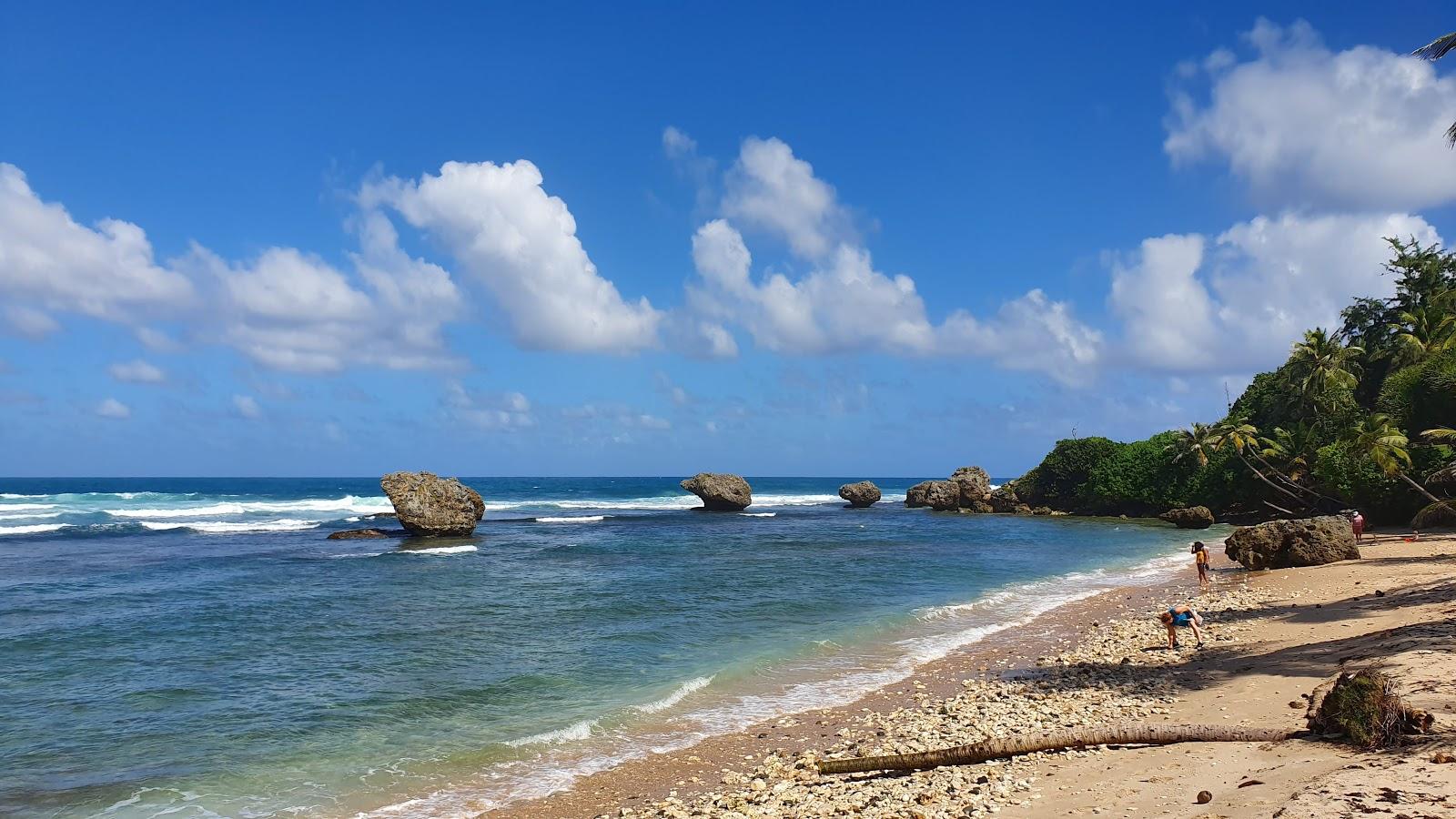 Sandee Barbados