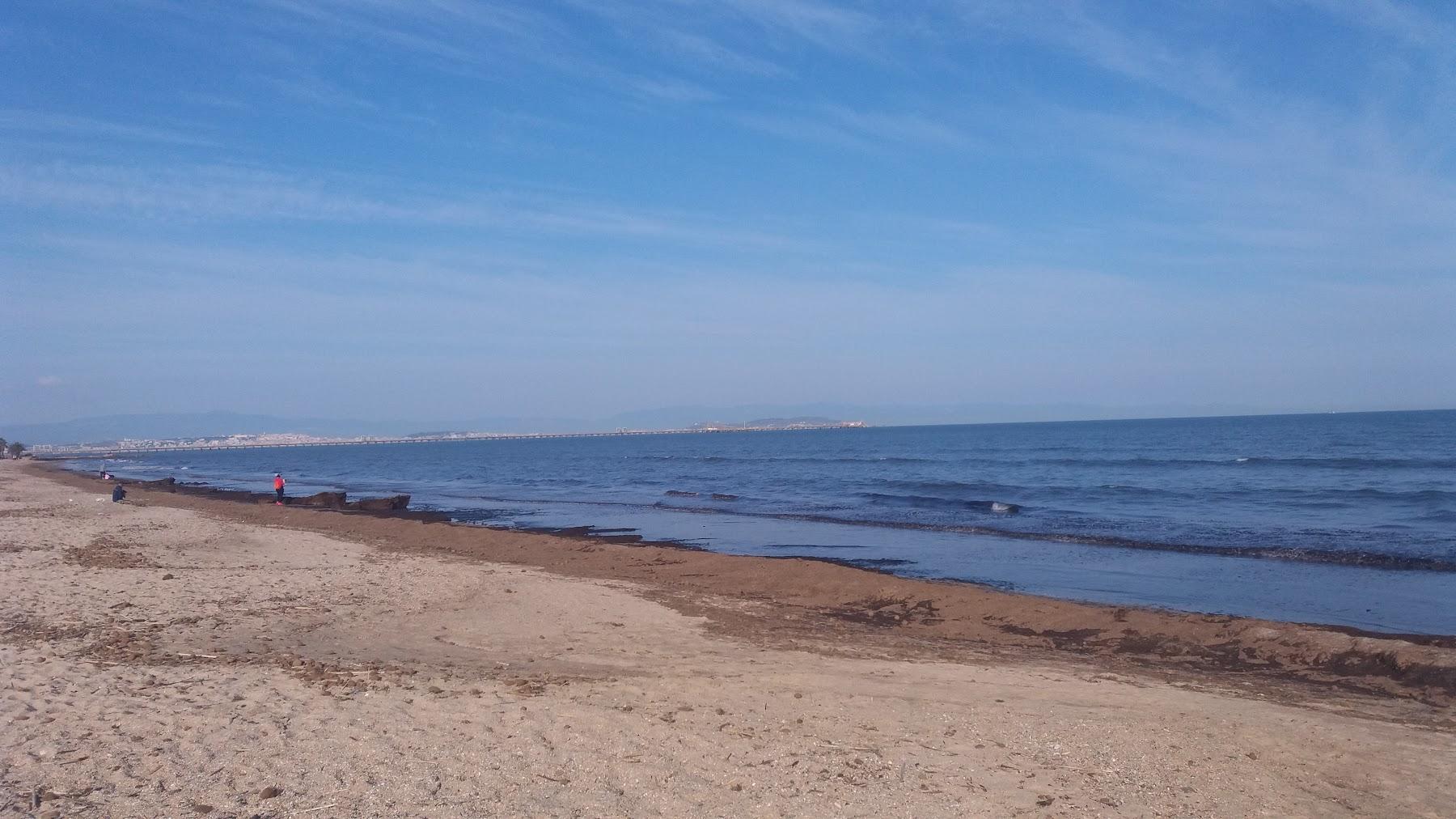 Sandee Spiaggia Di Torre Degli Ulivi