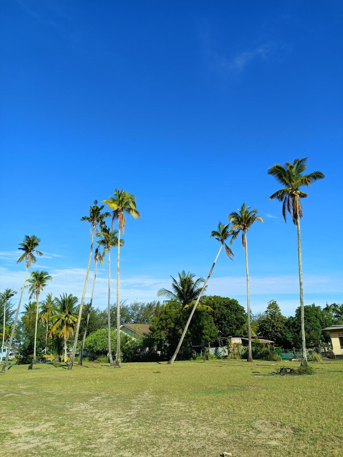 Sandee Tanjung Selangor Beach