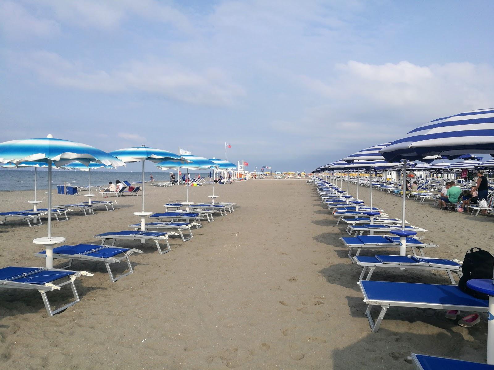 Sandee Piper Beach
