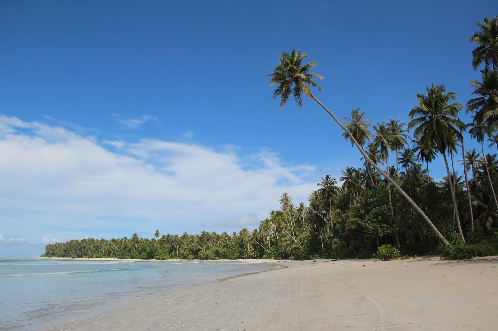 Sandee Kingfisher Mentawai Resort