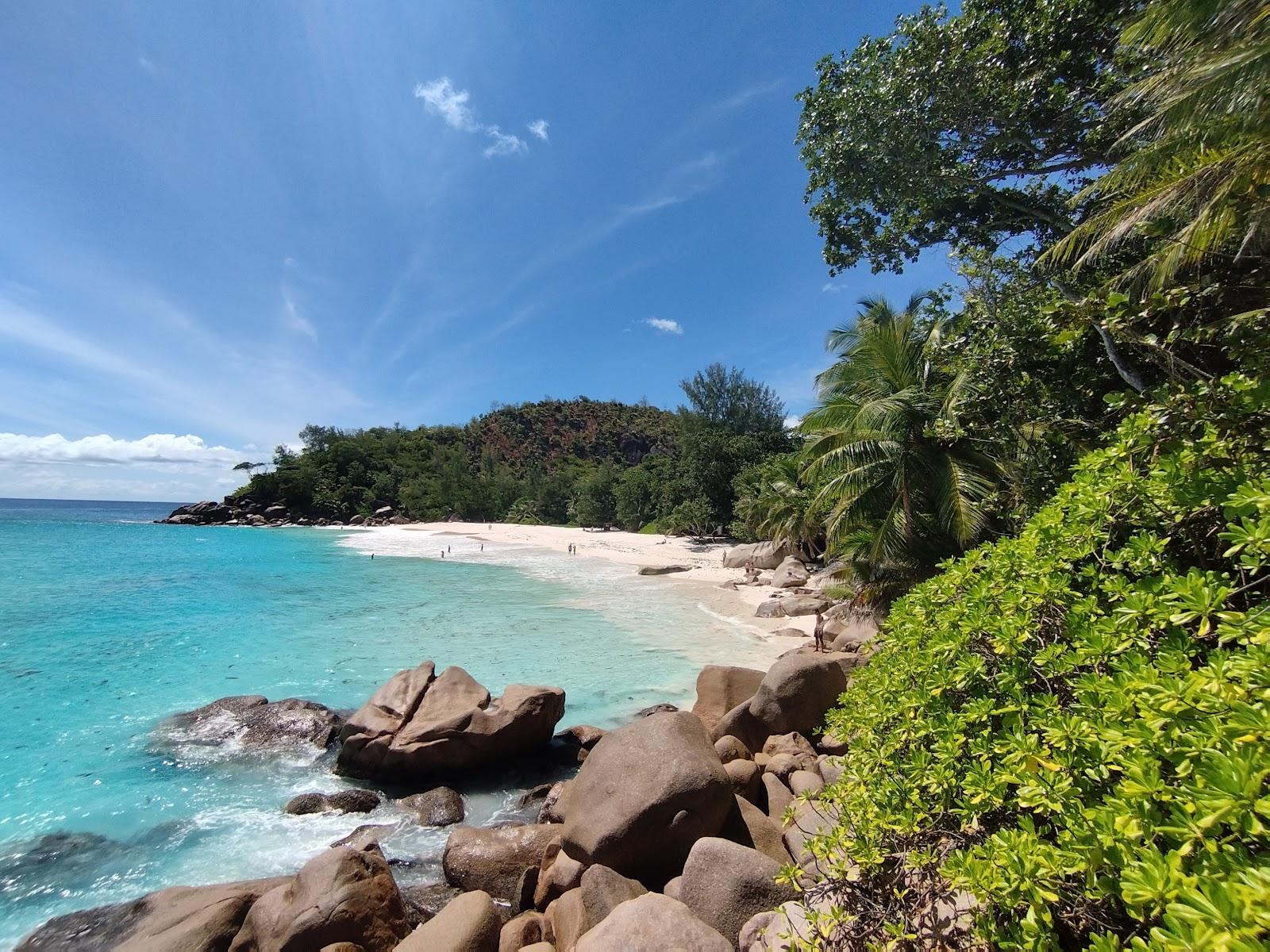 Sandee Pointe Millers — Anse Georgette