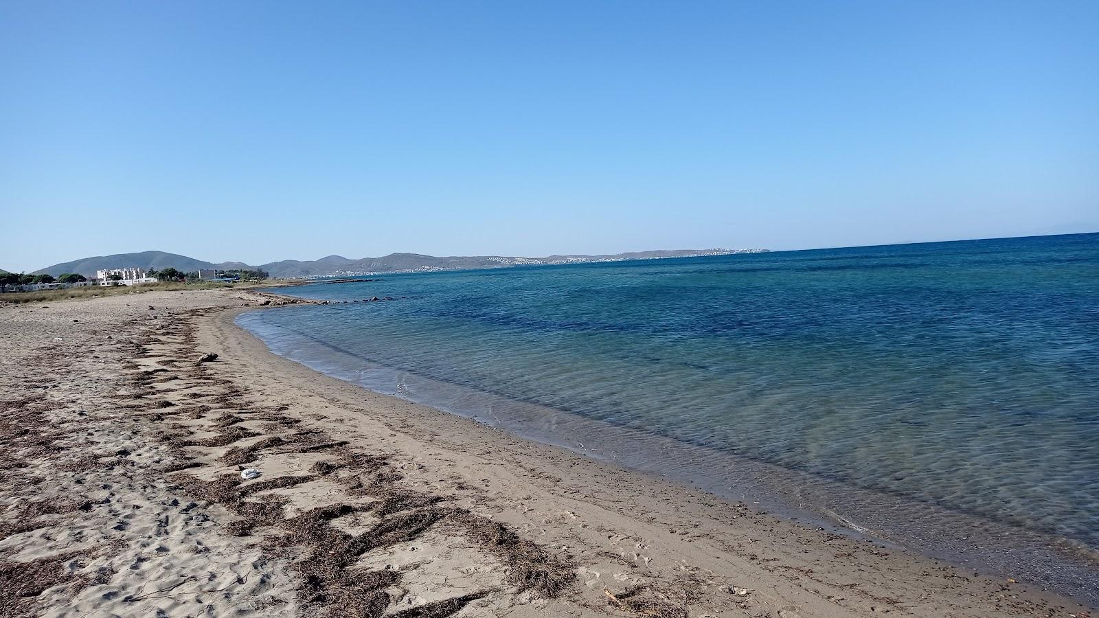 Sandee Dudu Beach