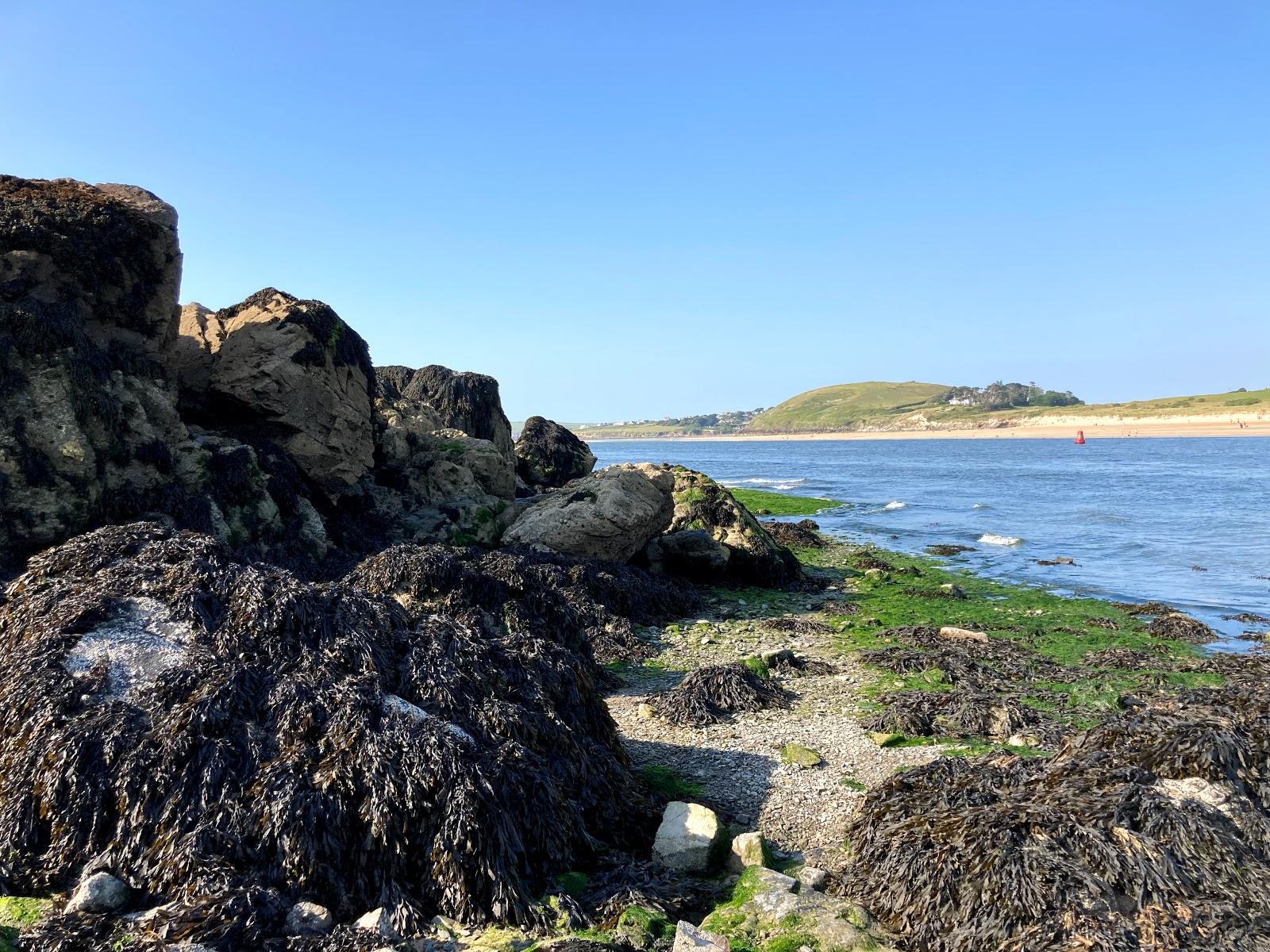 Sandee Harbour Cove Beach