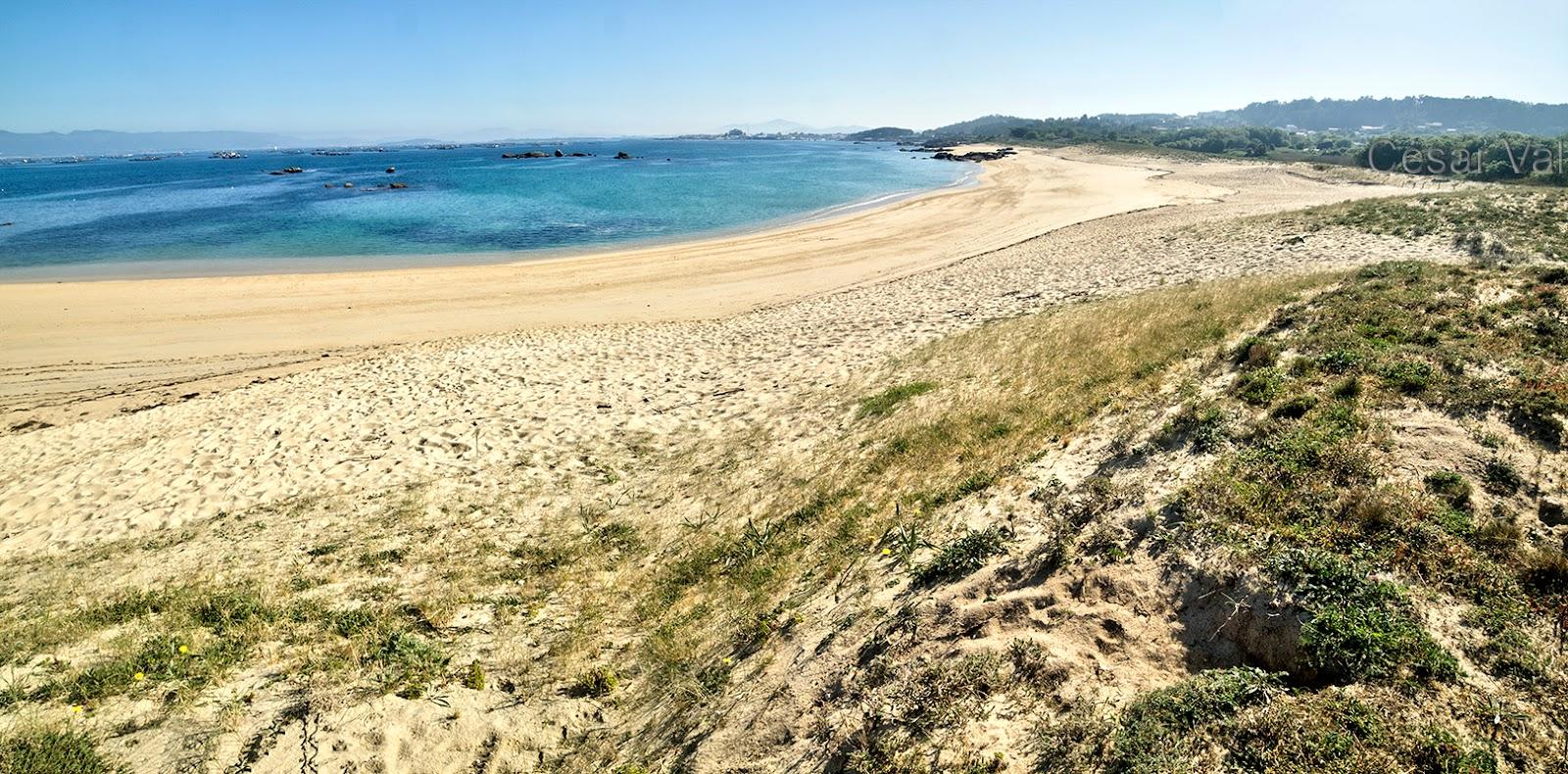 Sandee Praia De Area Das Patas