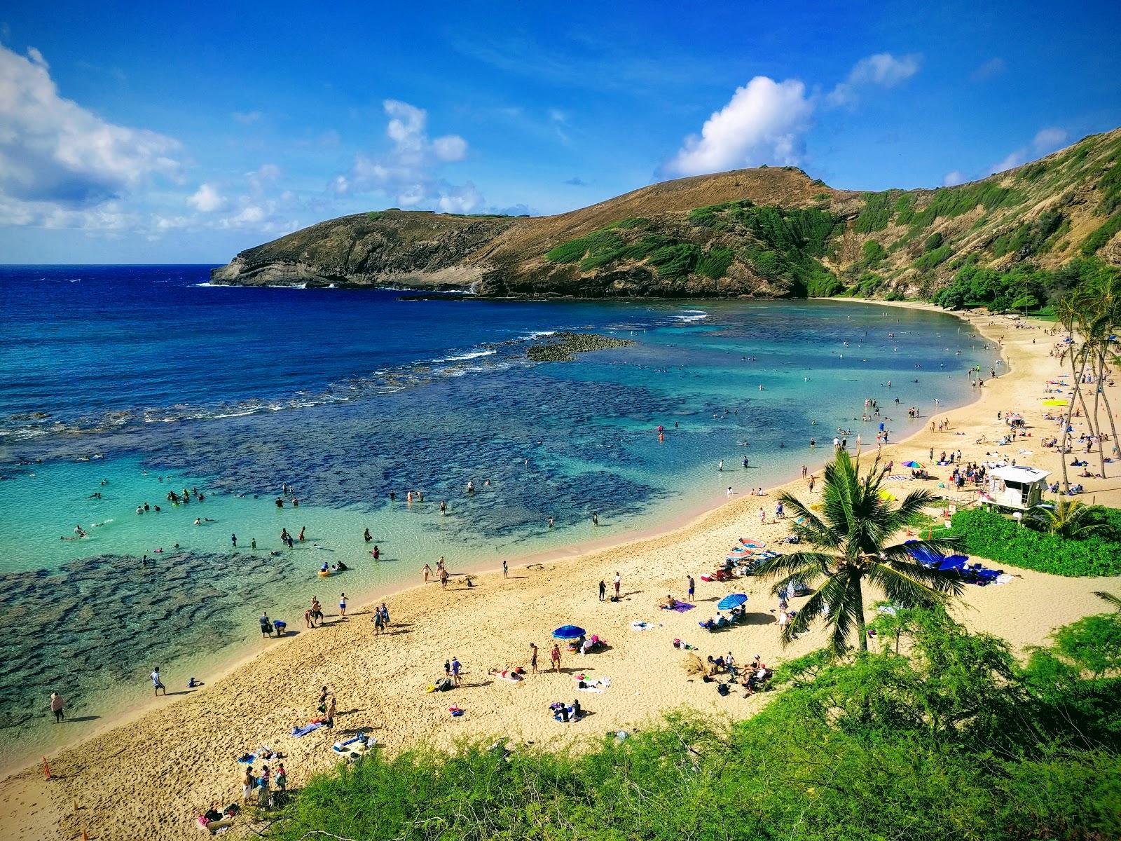 Hawai'i Photo - Sandee