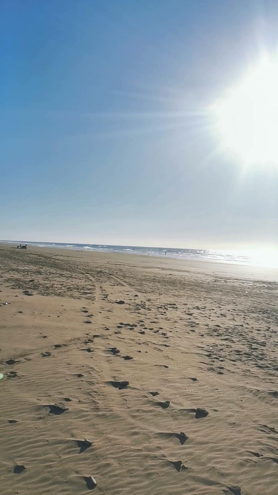 Sandee Plage Foret Diplomatique