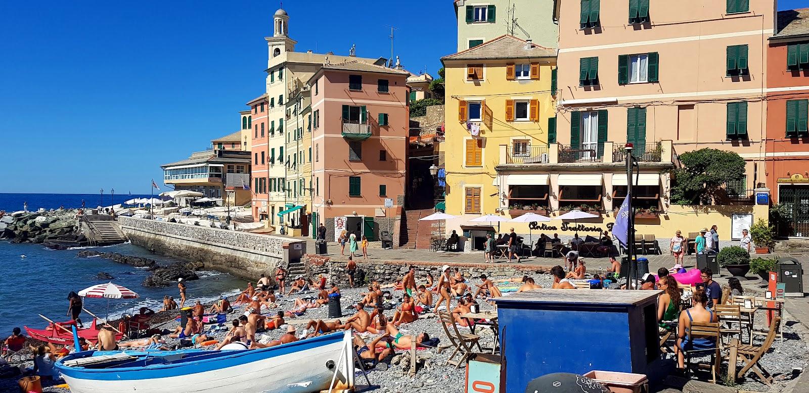 Sandee Boccadasse
