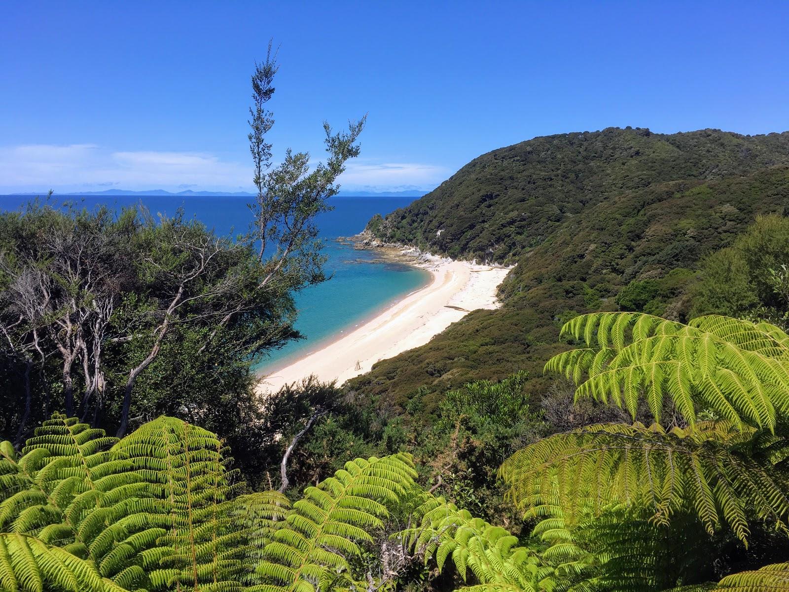 Sandee Mutton Cove