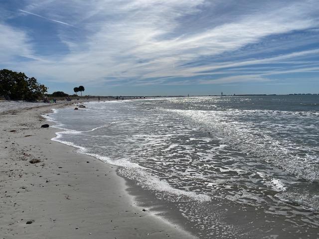 Sandee Oasis Beach
