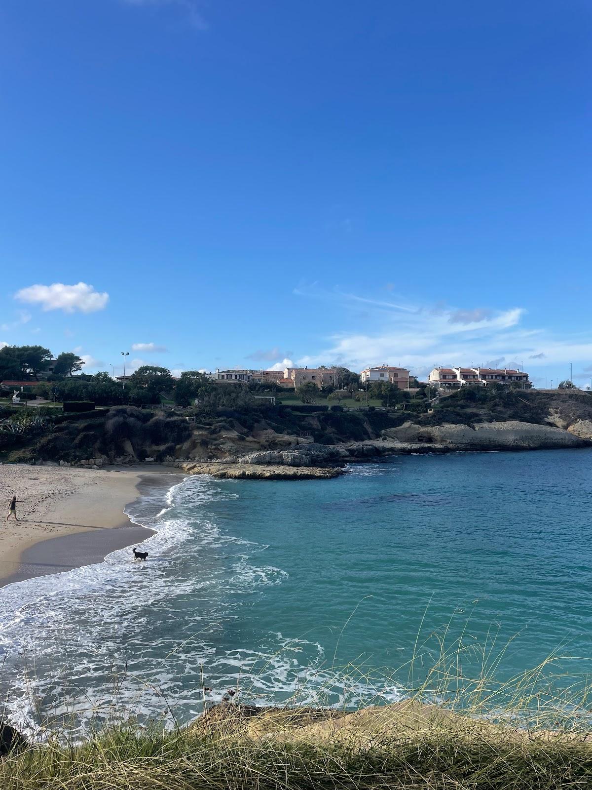 Sandee Parco Di Balai Vicino