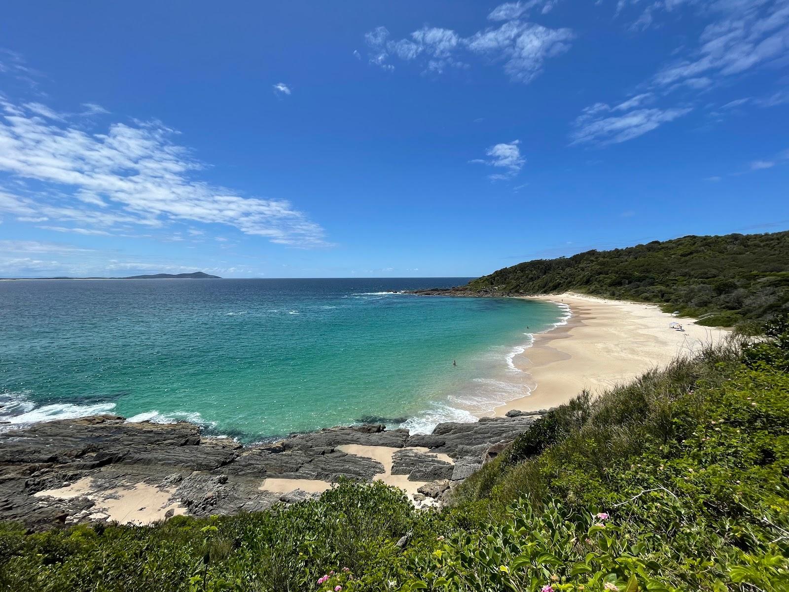 Sandee Shelly Beach