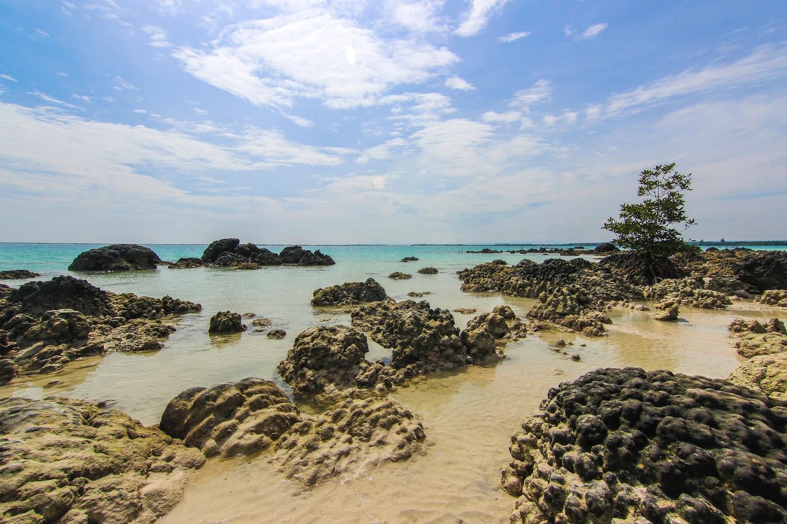 Sandee Tureloto Beach Lahewa