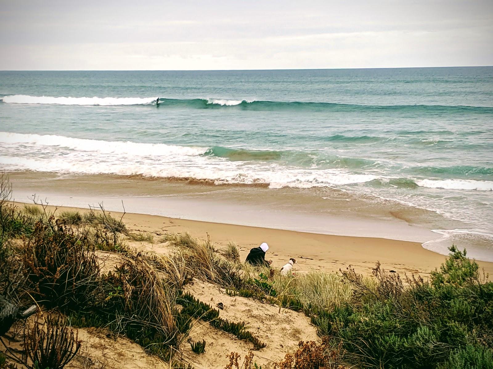 Sandee Dump Beach