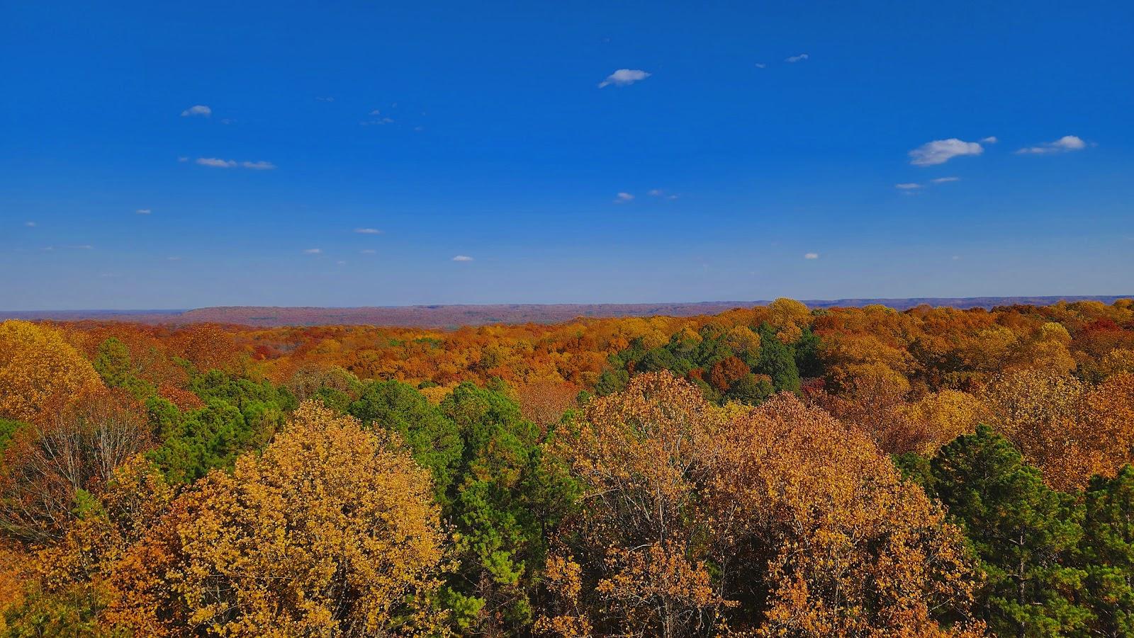 Sandee Hoosier National Forest