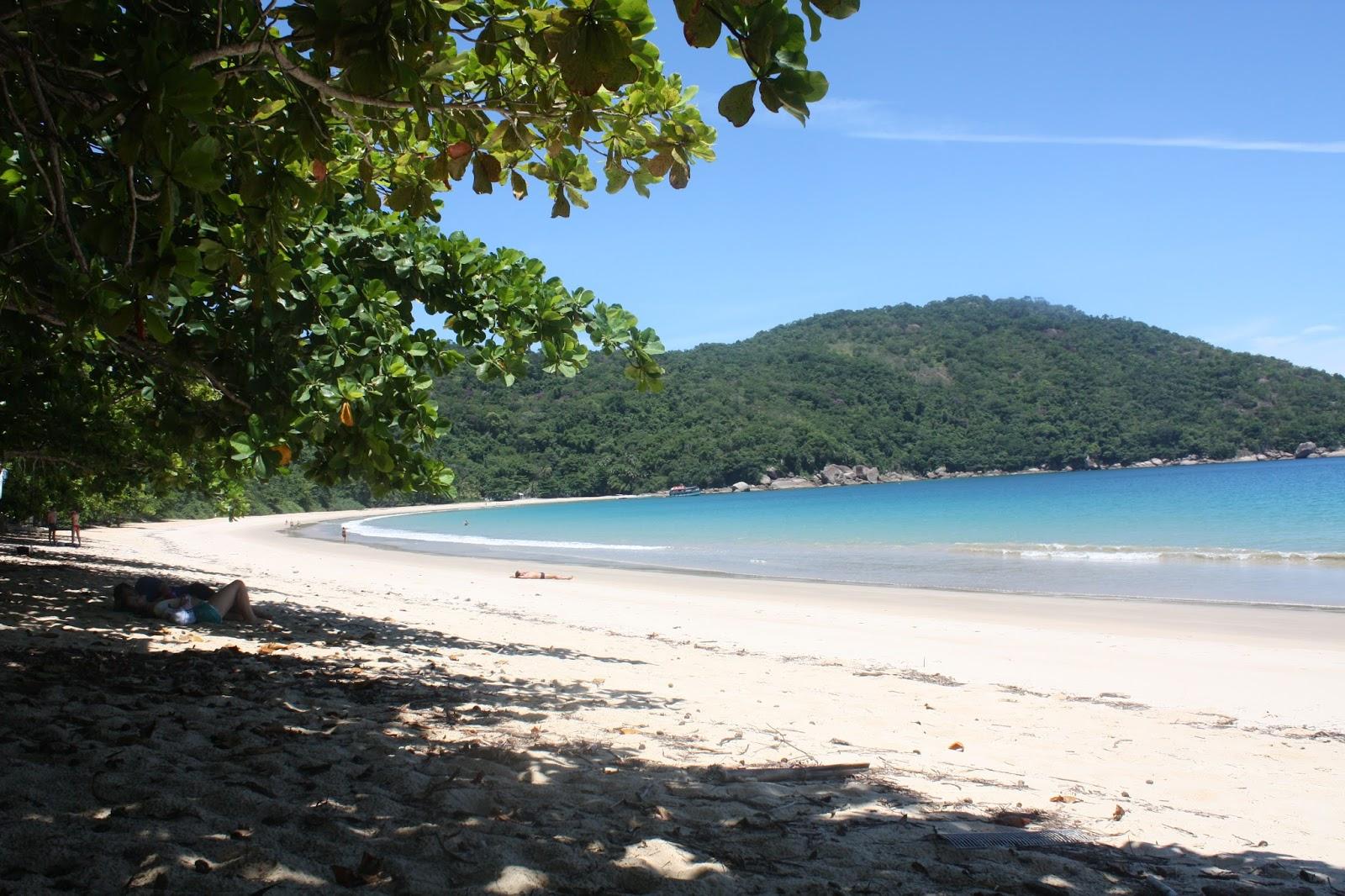 Sandee Praia De Morcegos