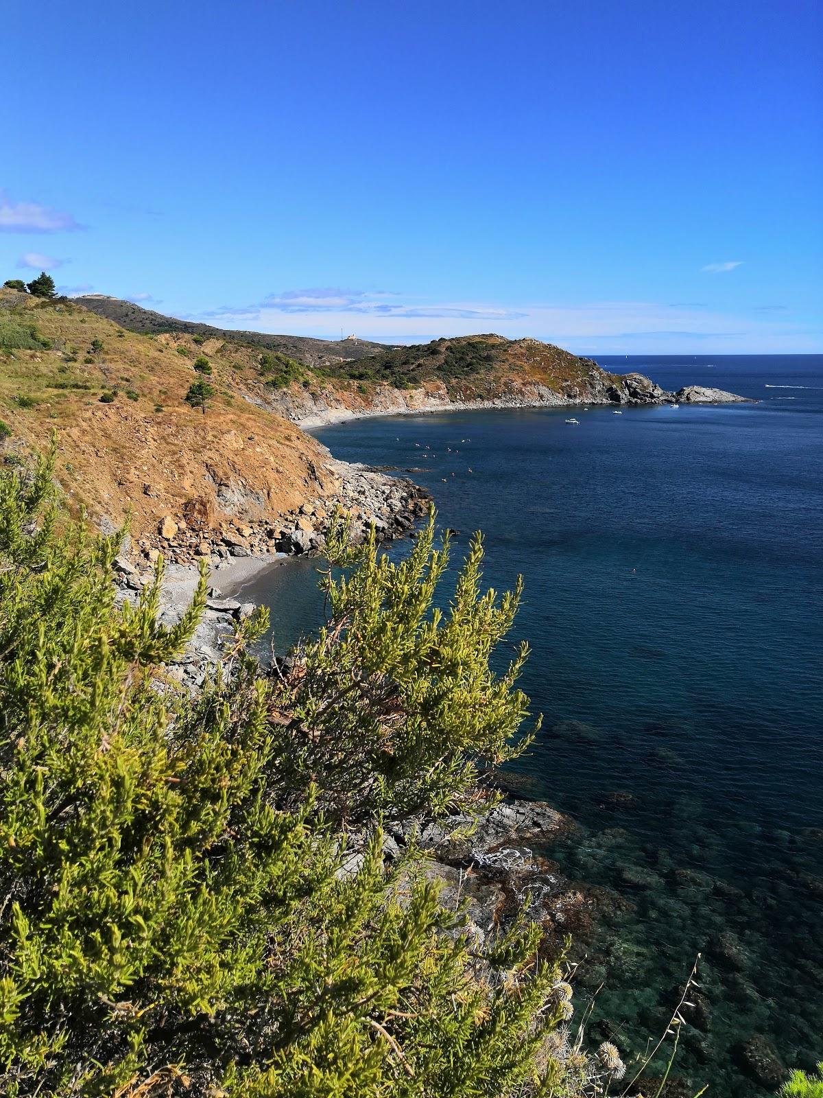 Sandee Plage Du Sana
