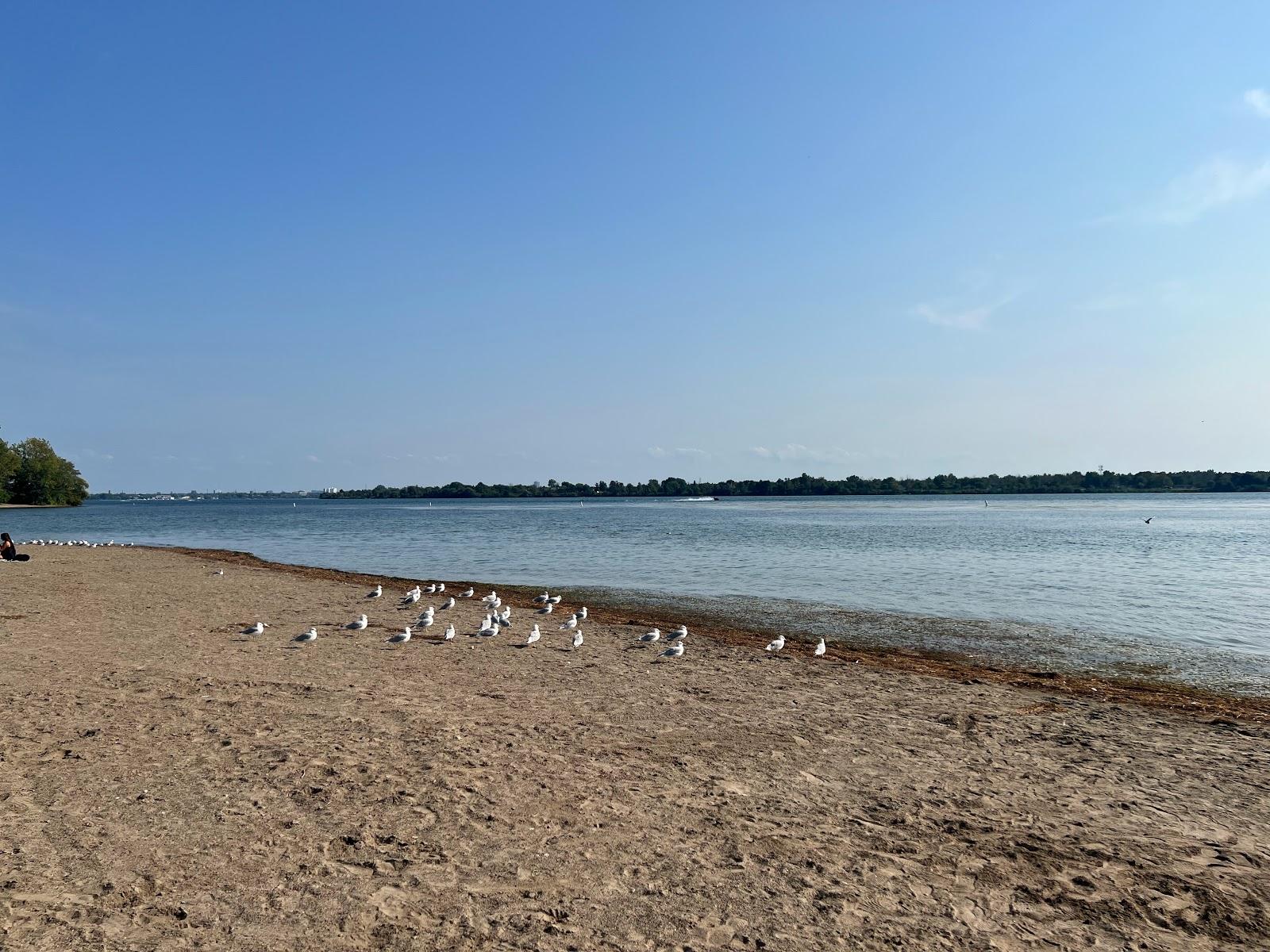 Sandee Beaver Island Beach