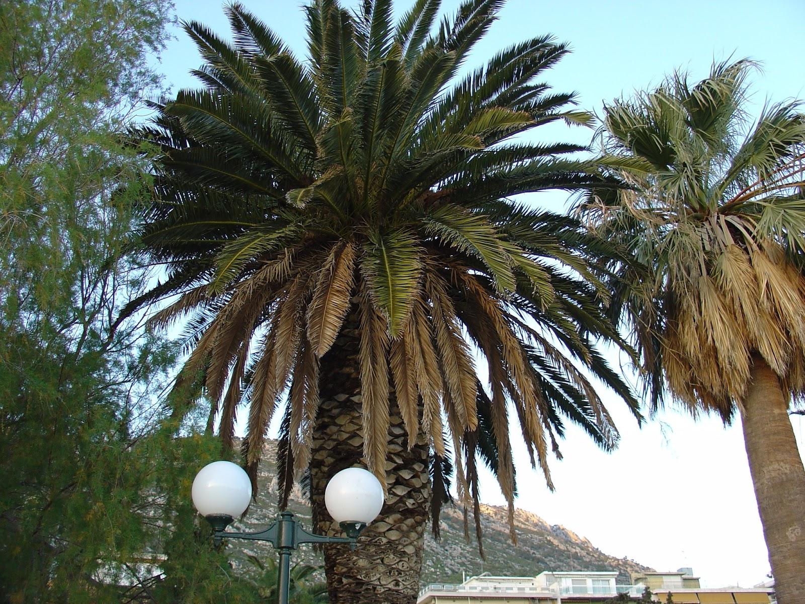 Sandee Beach Park Loutraki