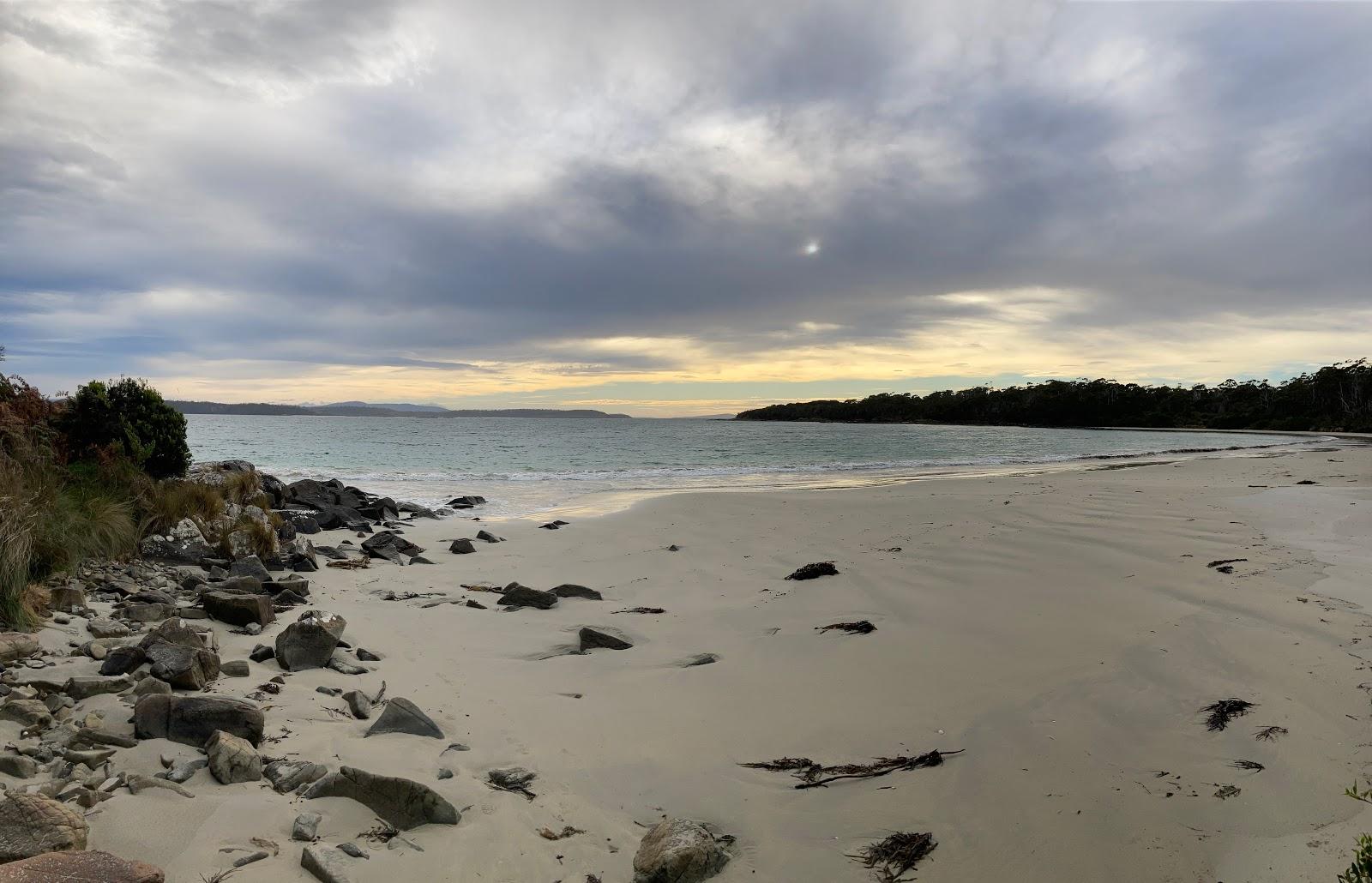 Sandee Planter Beach