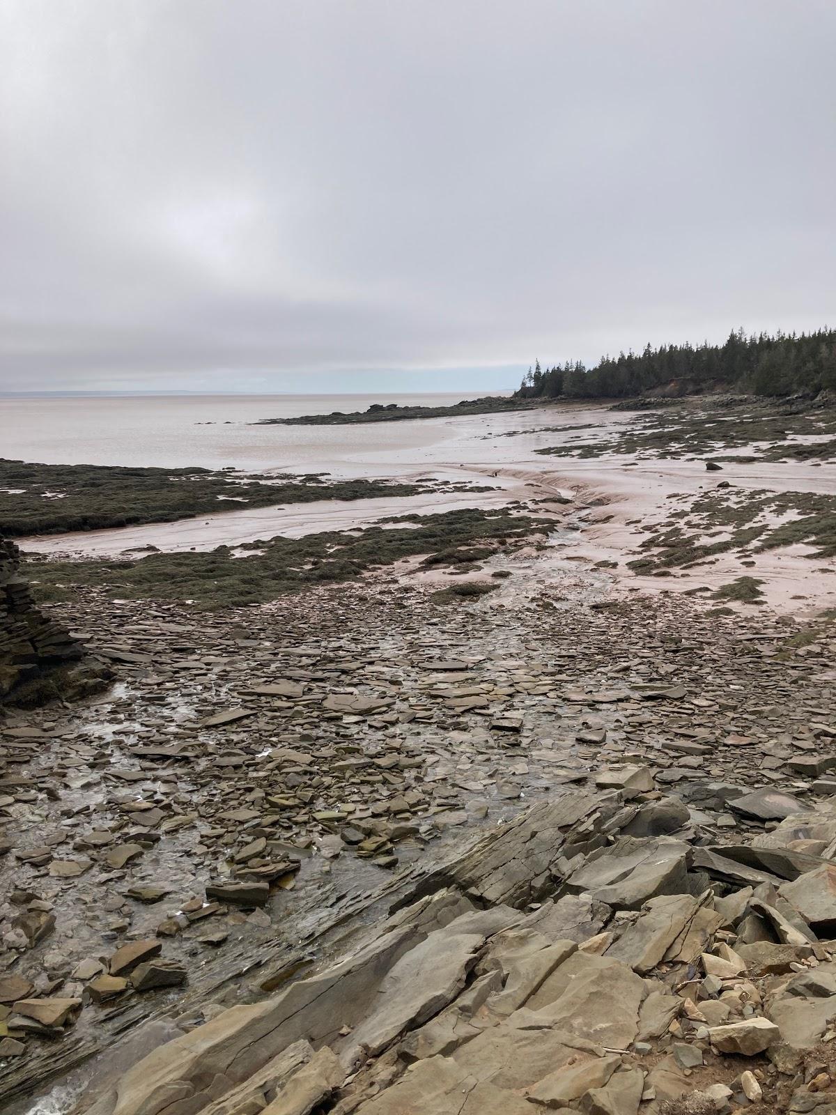 Sandee Slack's Cove