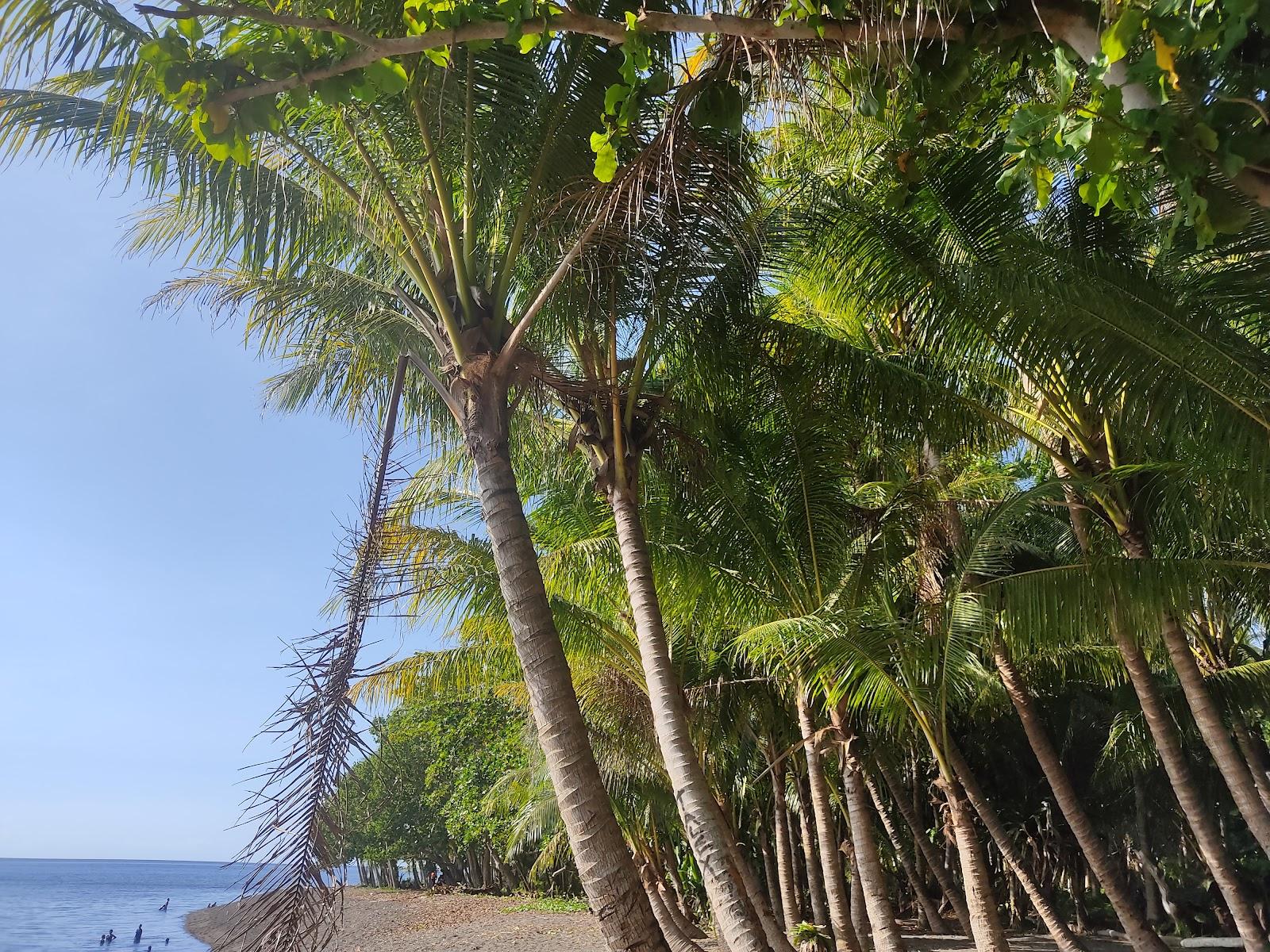 Sandee Pilapila Beach