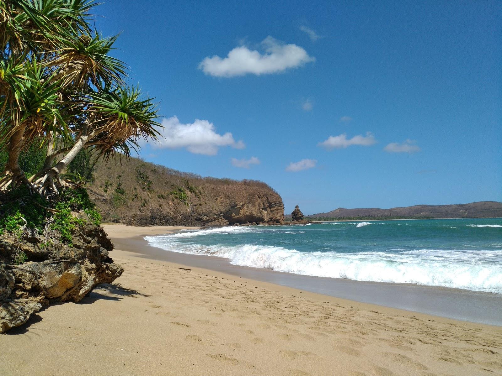 Sandee Baie Des Tortues / Turtle Bay