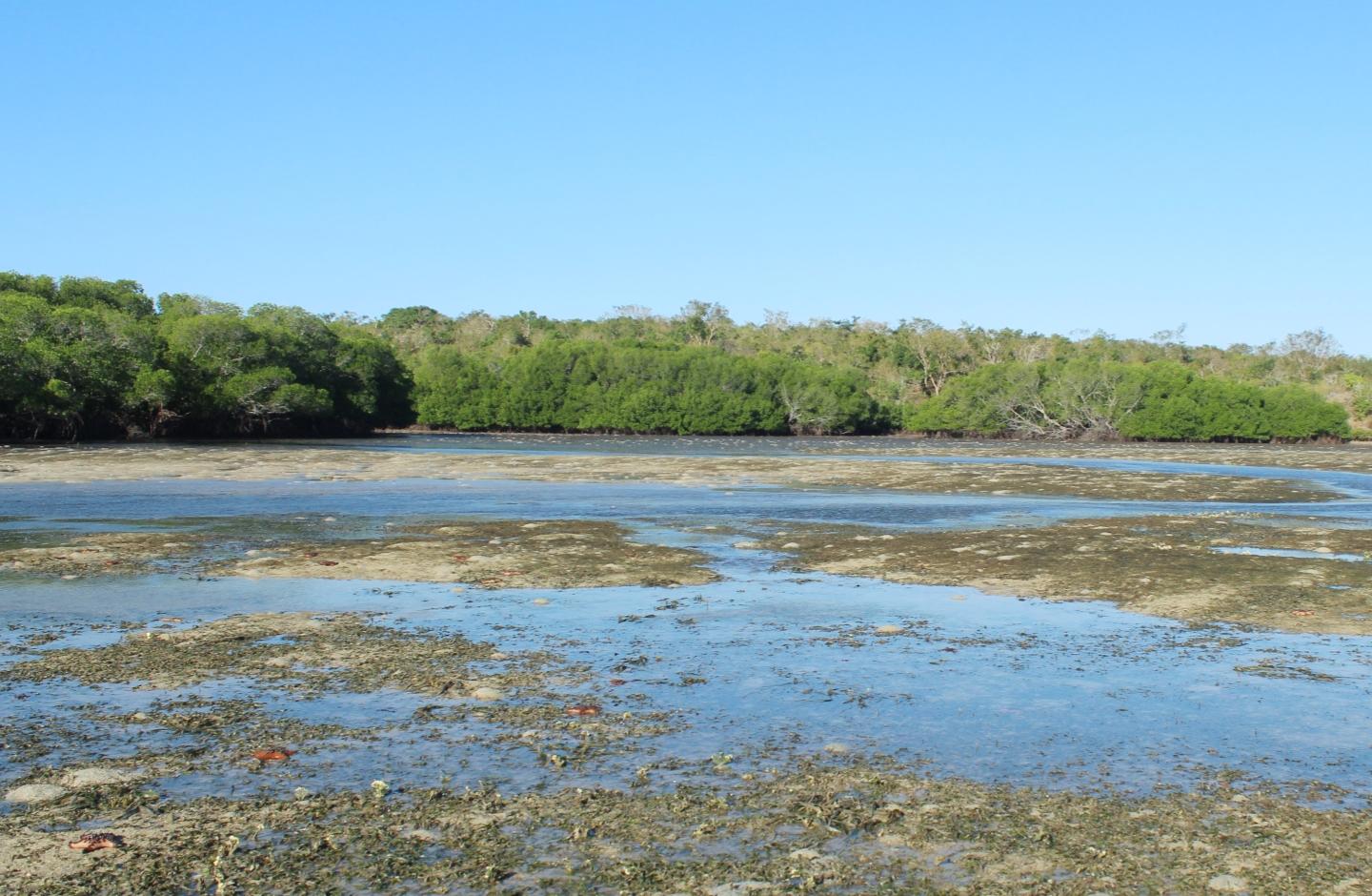 Sandee Batulesi Beach
